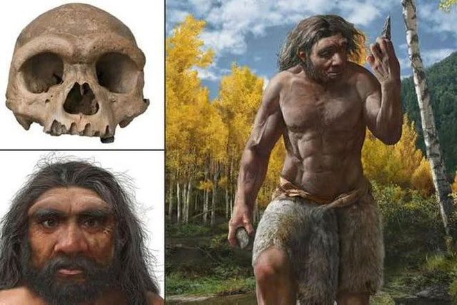 Homo longi