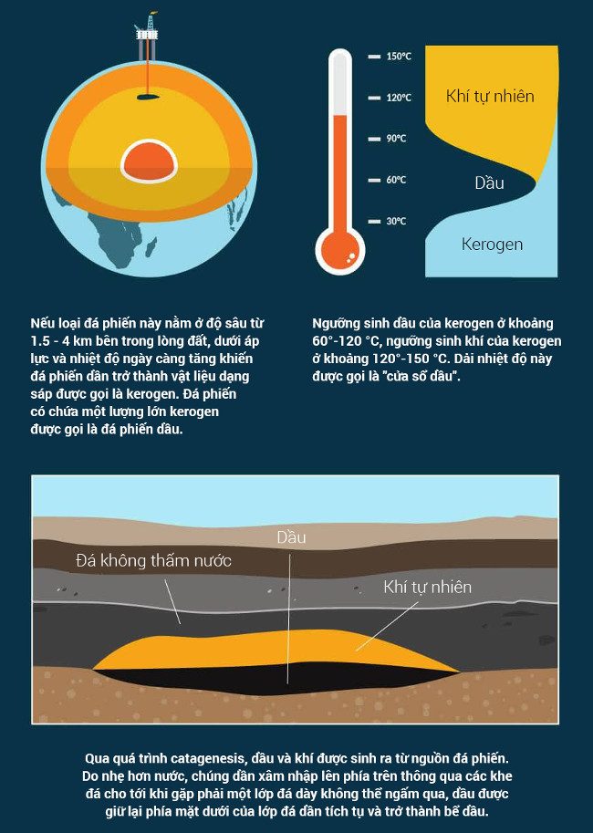 The location of petroleum extraction within the Earth's crust.