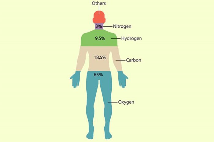 Oxygen is also a component of all four organic compounds found in the human body.