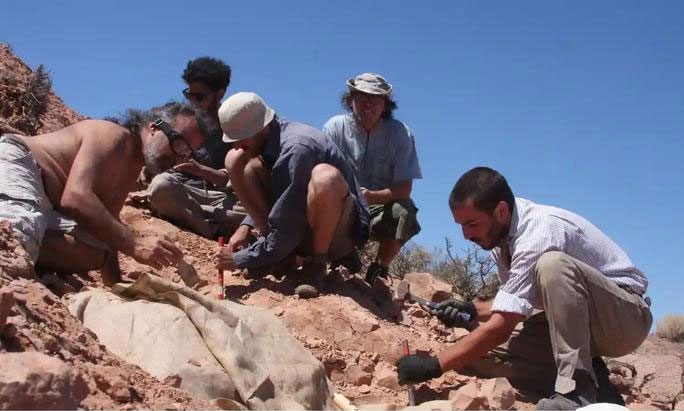 Archaeologists excavating fossils