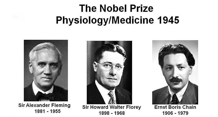 Three scientists awarded the Nobel Prize in Physiology or Medicine in 1945 for discovering antibiotics.