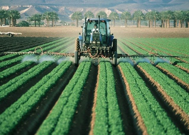 Water management allows Israel to cultivate various types of crops.