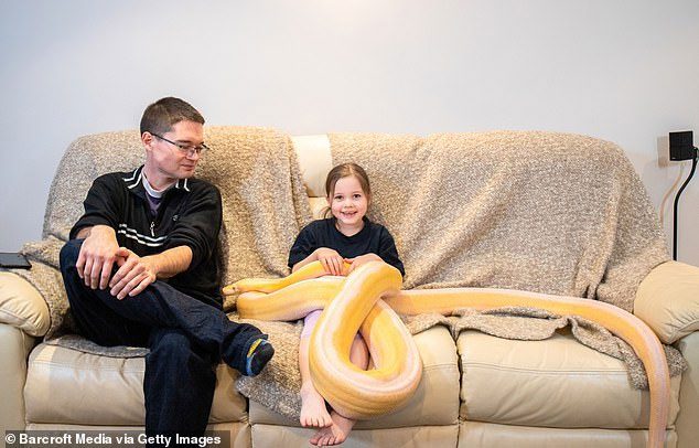 Many people carelessly keep snakes as pets, unaware that these creatures are very dangerous.