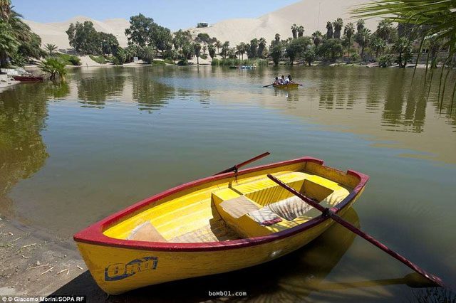 oc dao Huacachina 5