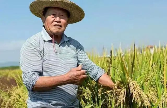 Mr. Chung Chang Mei is regarded as the "father of bamboo rice" in China.