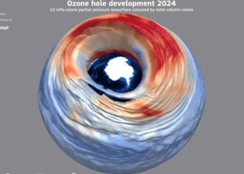 ozone layer restoration in south pacific 136834