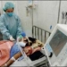 patient in hai phong infected with h5n1 1542