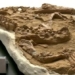 peru announces fossil crocodile over 10 million years old 138170