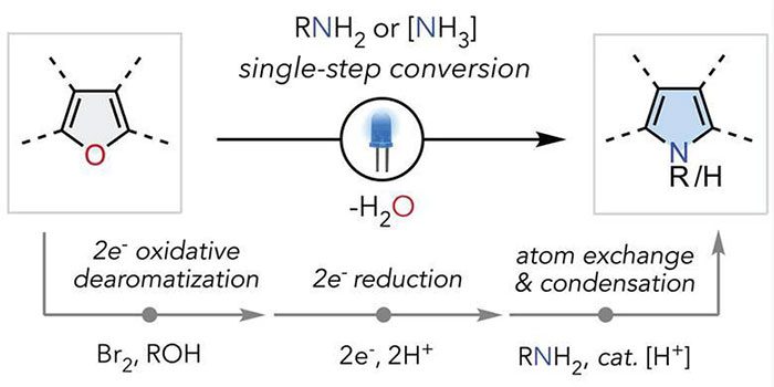 The reaction used by South Korean scientists.