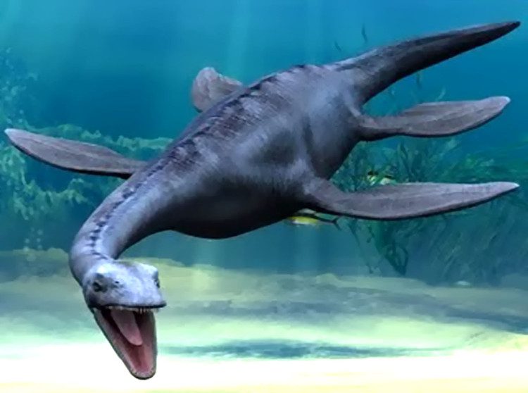 A Plesiosaur.