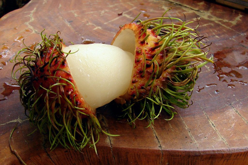 Rambutan is a sweet fruit with a red skin covered in soft hairs, very popular in Vietnam.