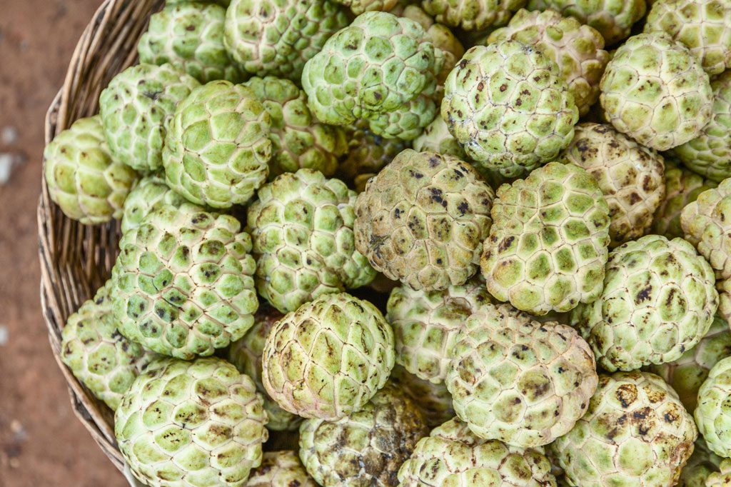 Custard apples are very sweet and have a lot of flesh. This fruit requires patience as it contains many seeds.