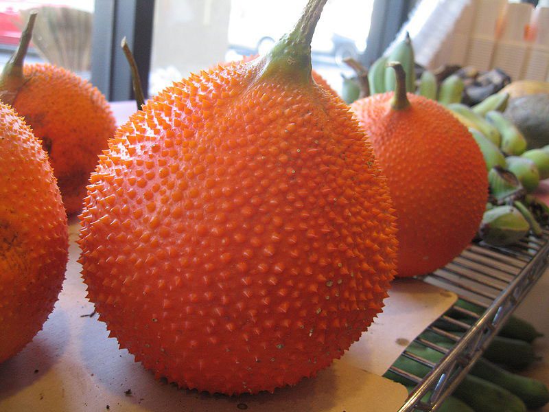 Most of us have probably enjoyed gac sticky rice. This is a unique fruit from Vietnam, used in both cuisine and medicine.