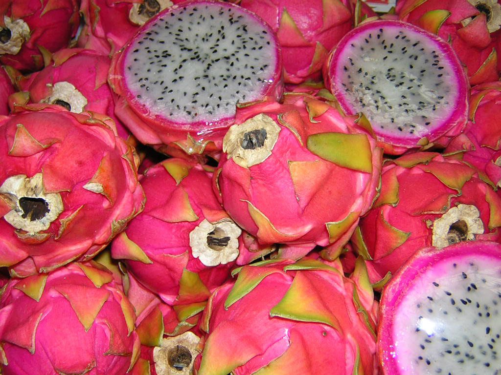 The dragon fruit plant resembles a cactus and only blooms at night. Dragon fruit is popular in many countries and originates from Mexico.