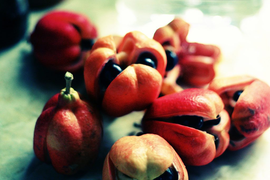 Ackee is native to the tropical regions of West Africa and has become an important part of Caribbean culture after being imported to Jamaica.