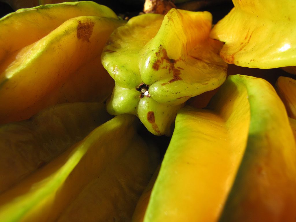 Starfruit is unique because it has a five-pointed star shape. Its flavor is a combination of apple, pear, grape, and citrus. It is commonly grown in Vietnam.