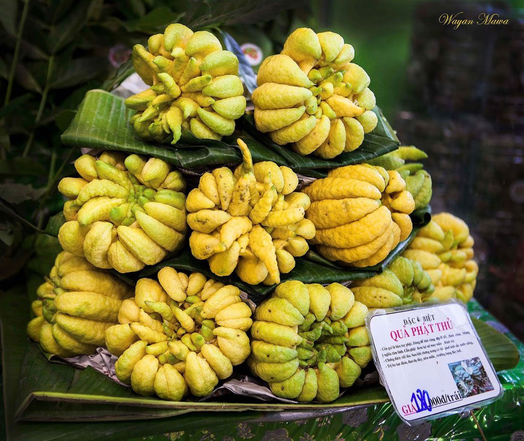 Buddha's Hand is named for its resemblance to a hand. It is often used in fruit offerings during Tet and is also sold in markets, especially on the first and full moon days. It is used for medicinal purposes and in perfumes.