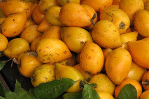 Xanthophyll and vitamin C in chicken egg fruit are good for eyesight.