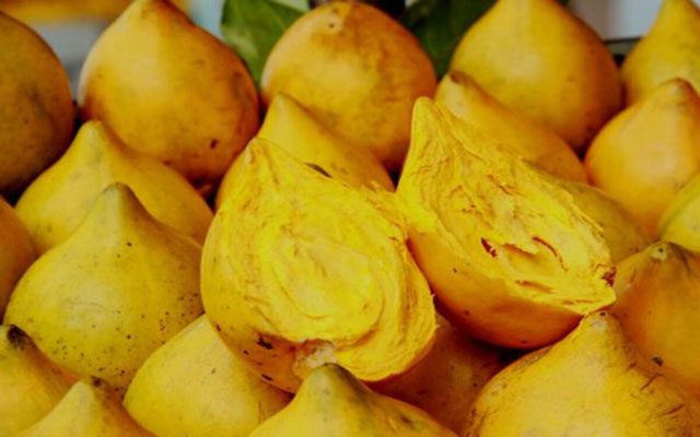 Ripe chicken egg fruit, yellow inside and out.