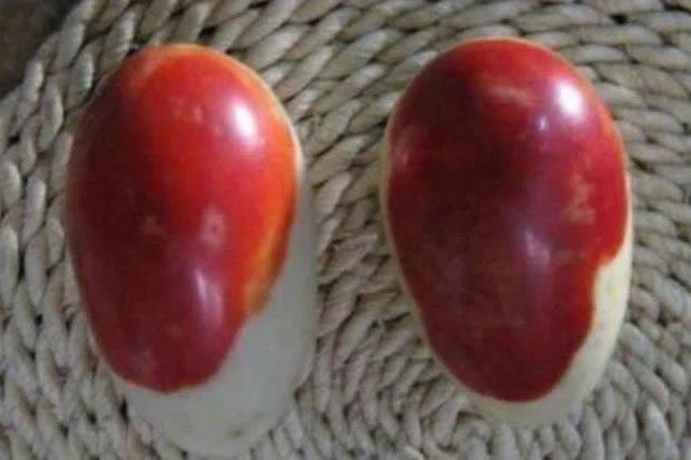 Experts estimate this bloodstone could be worth 800,000 RMB (approximately 2.8 billion VND)