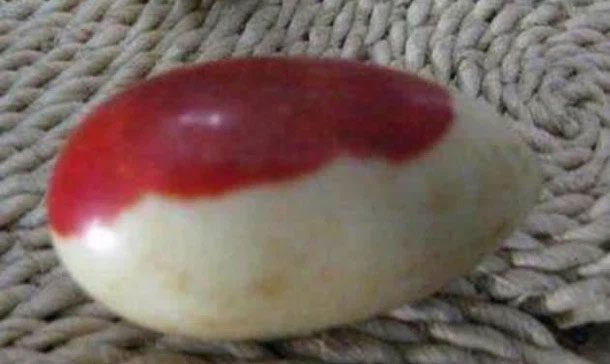 These two stones are artifacts from the Ming Dynasty of Zhang Xianzhong.