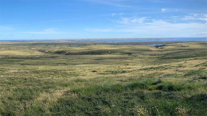 A panoramic view of the Falkland Islands shows a windy, treeless area