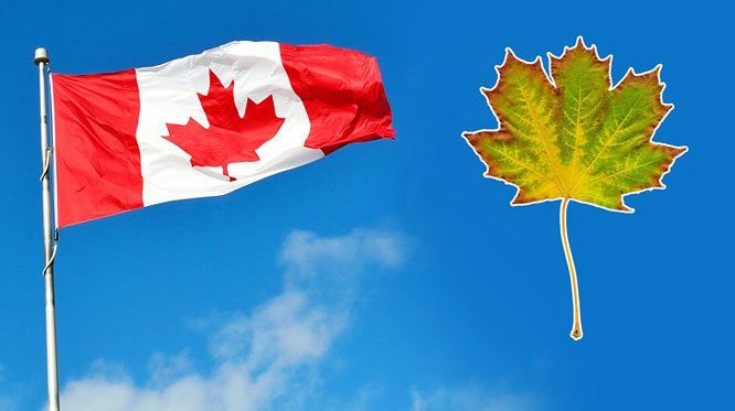 Flag of Canada