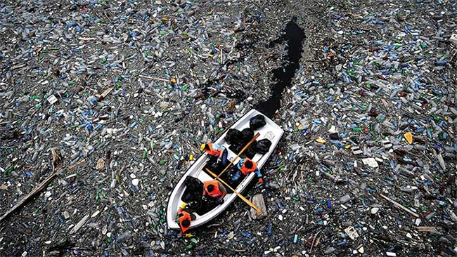 Plastic waste has existed on Earth for a very long time