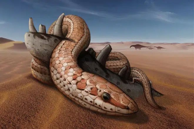 Venomous snakes found all over the Earth, except Antarctica.