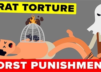 rat torture revenge by mouse form of torture originating from ancient china 120474