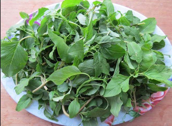 Amaranth