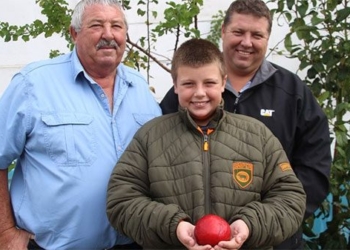 record breaking tree when fruit reaches nearly 136724