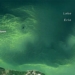 recording the alarming transformation in lake erie 136697