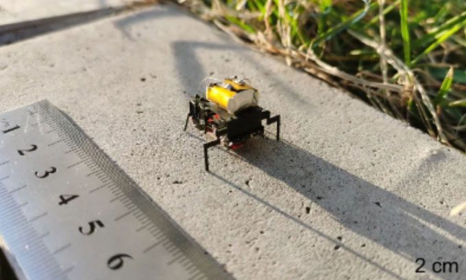 2 cm insect robot weighing under 2 grams