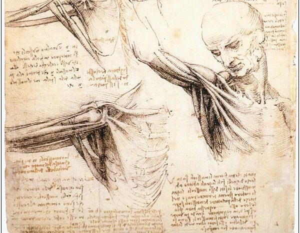 5 Timeless Designs by Leonardo da Vinci