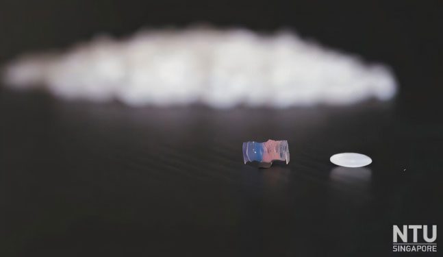 The new tiny robot is placed next to a grain of rice for comparison.