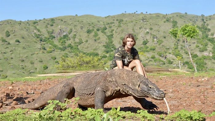 The ancestors of the Komodo dragon were "ancient lizards" from 4 million years ago