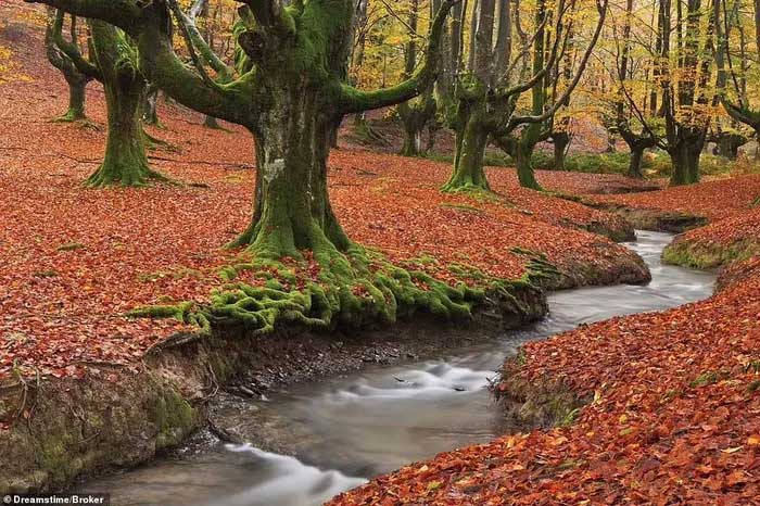 Gorbeia Natural Park