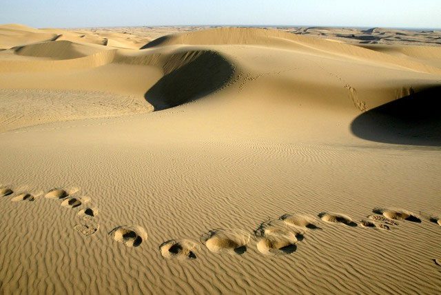 Deserts are a valuable source of natural resources.