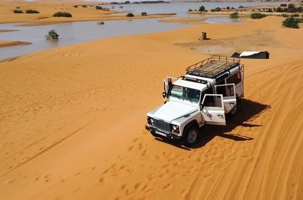 sa mac sahara ngap nuoc 2
