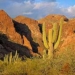 saguaro pipe sunset