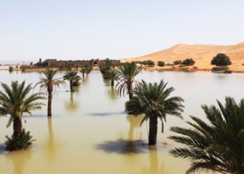 sahara suddenly flooded due to winter rain after 50 years water levels rise 137247 2