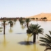 sahara suddenly flooded due to winter rain after 50 years water levels rise 137247