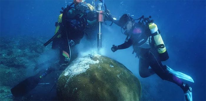 Scientists sampling giant coral in Fiji in 1998.