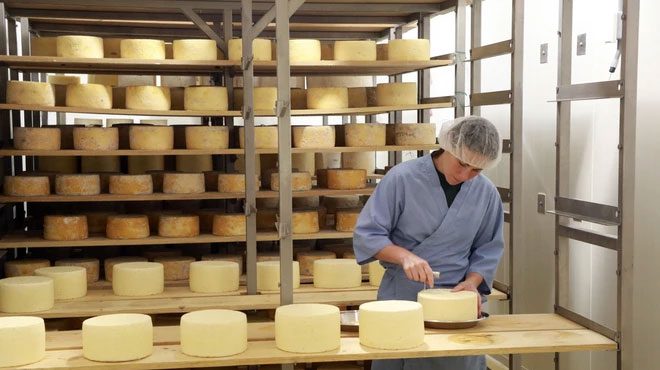 Cheese produced at P.A. Bowen Farmstead in Brandywine, Maryland, USA.