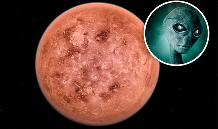 Potential for Life in Venus's Clouds