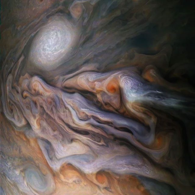 NASA needs public assistance to identify images with vortices on Jupiter.