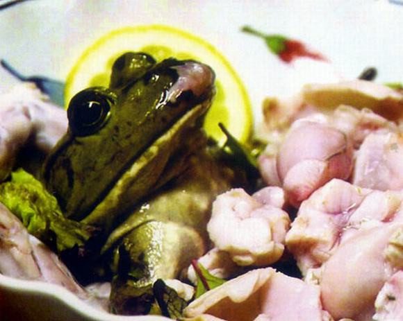 Frog Sashimi