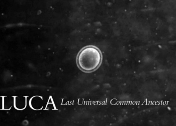 scientists discover luca single celled organism that is the ancestor of all life 74509