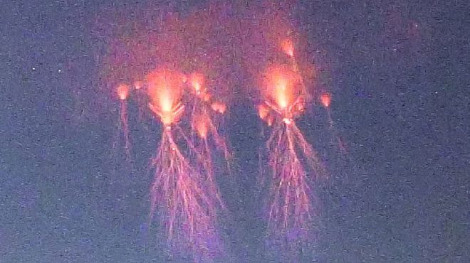 Jellyfish Sprite